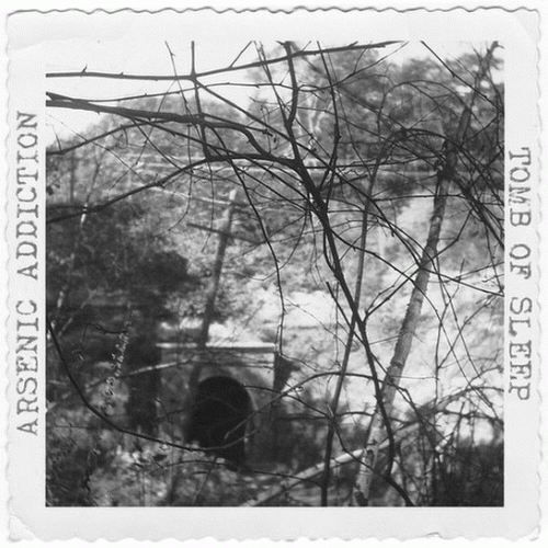 Arsenic Addiction : Tomb of Sleep